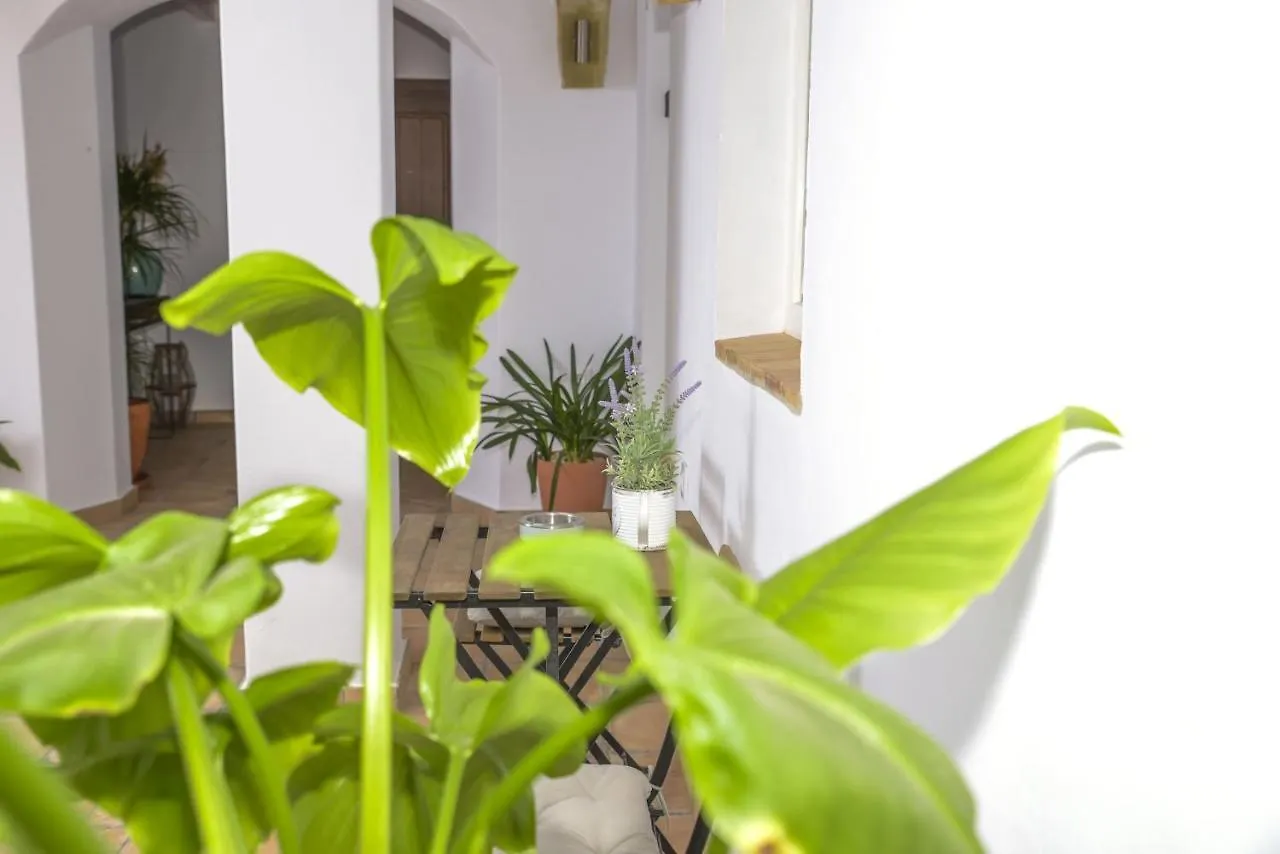 Casa Arbonaida Apartment Vejer de la Frontera