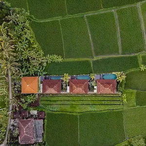 Airsania Antique , Ubud Indonesia