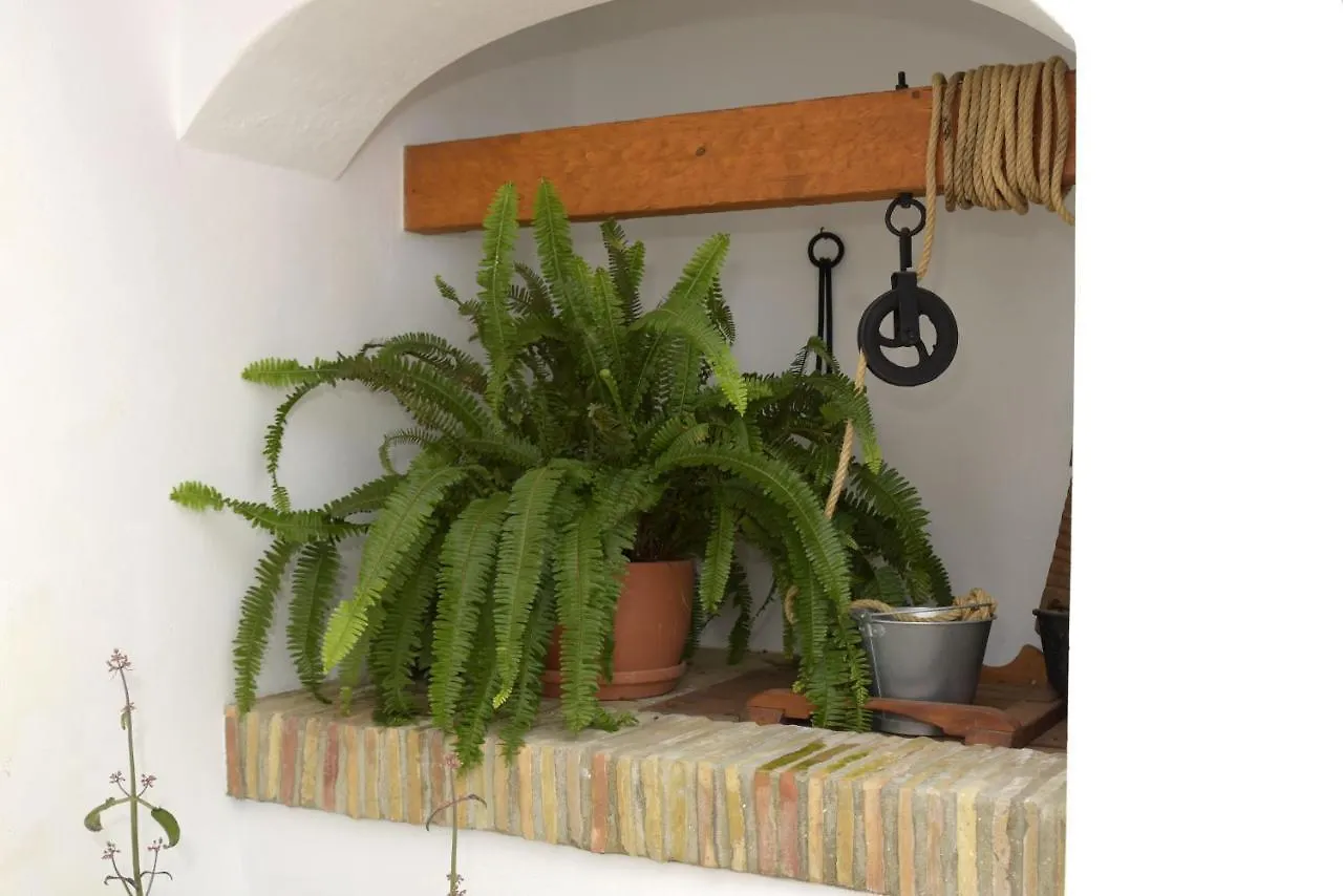 Apartamento Casa Arbonaida  Vejer de la Frontera